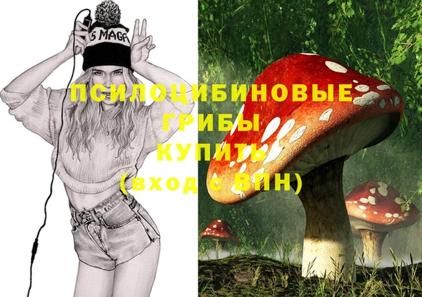 трава Алзамай