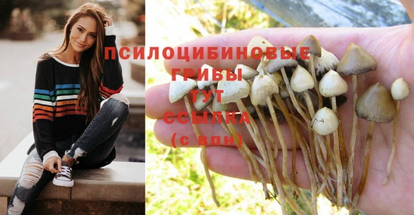 трава Алзамай