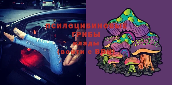 мяу мяу мука Алексин